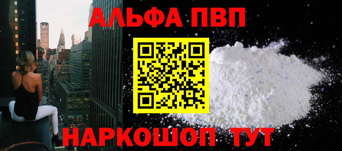 Альфа ПВП СК Кингисепп