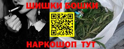 гашик Гай